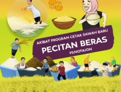 Akibat Program Cetak Sawah Baru terhadap Penciptaan Beras