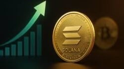 Aset Kripto Diprediksi Bullish 2026, Investor Mulai Kumpulkan Portofolio