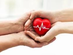 Tips Jantung Sehat: Kebiasaan Sederhana untuk Cegah Penyakit Kardio
